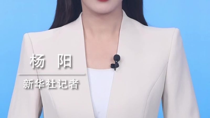 技术外包合同中服务范围的界定要点